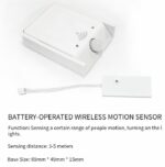 INTELLIGENT RUNNING LIGHT CONTROL SYSTEM: ND-PM-VO2